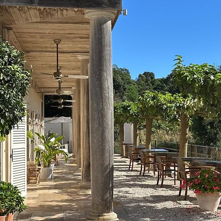 Le Clos Des Sept Palmiers Cavalaire-sur-Mer Bagian luar foto