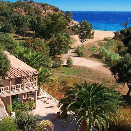 Le Clos Des Sept Palmiers Cavalaire-sur-Mer Bagian luar foto