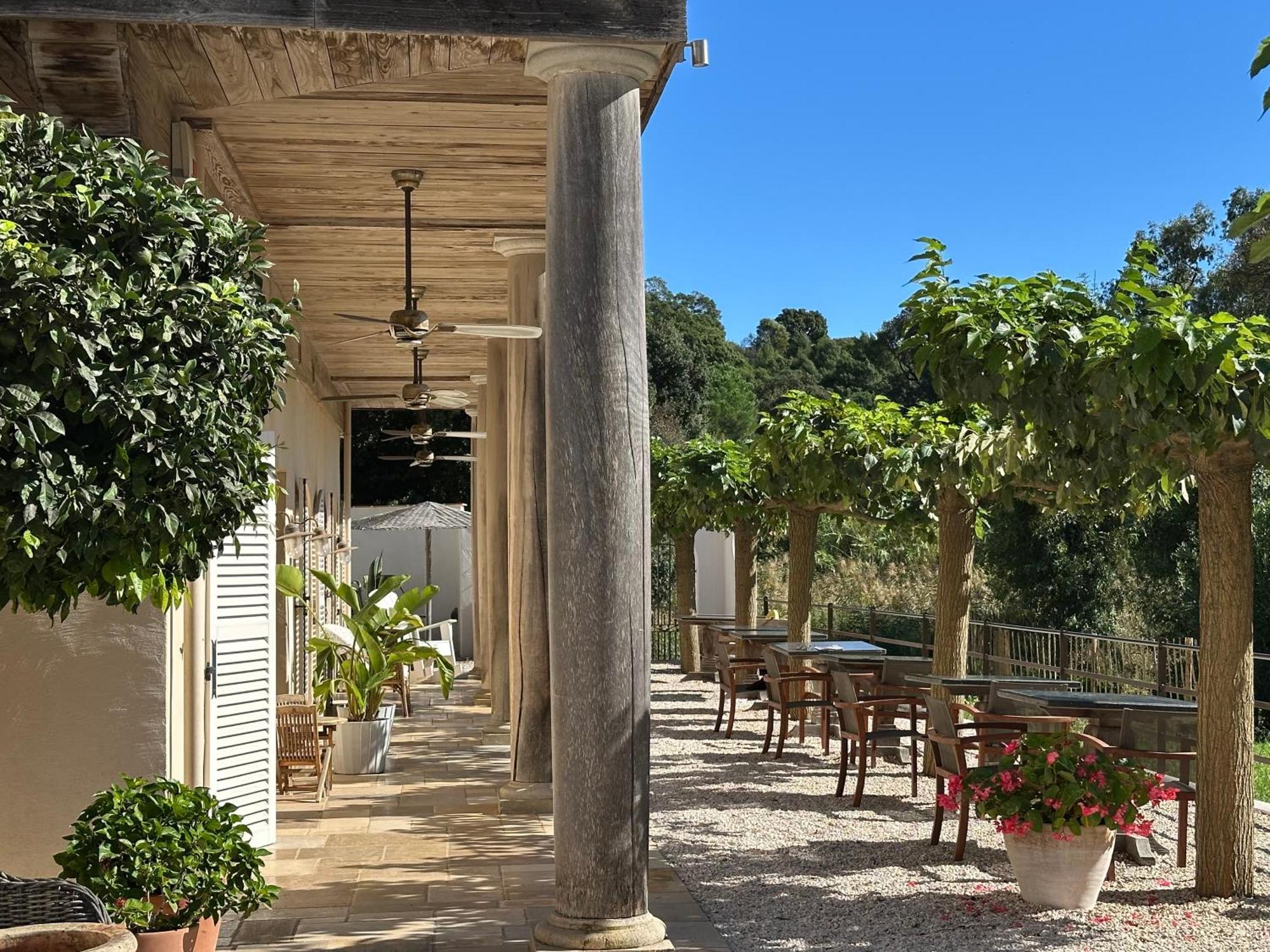 Le Clos Des Sept Palmiers Cavalaire-sur-Mer Bagian luar foto