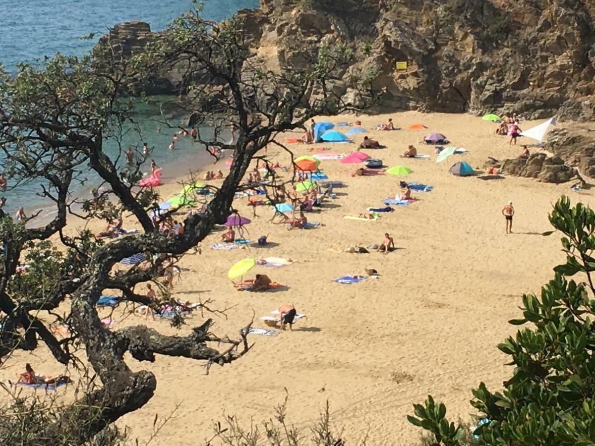 Le Clos Des Sept Palmiers Cavalaire-sur-Mer Bagian luar foto