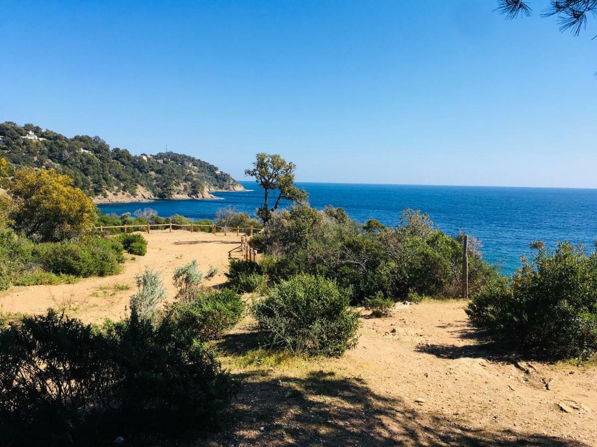 Le Clos Des Sept Palmiers Cavalaire-sur-Mer Bagian luar foto