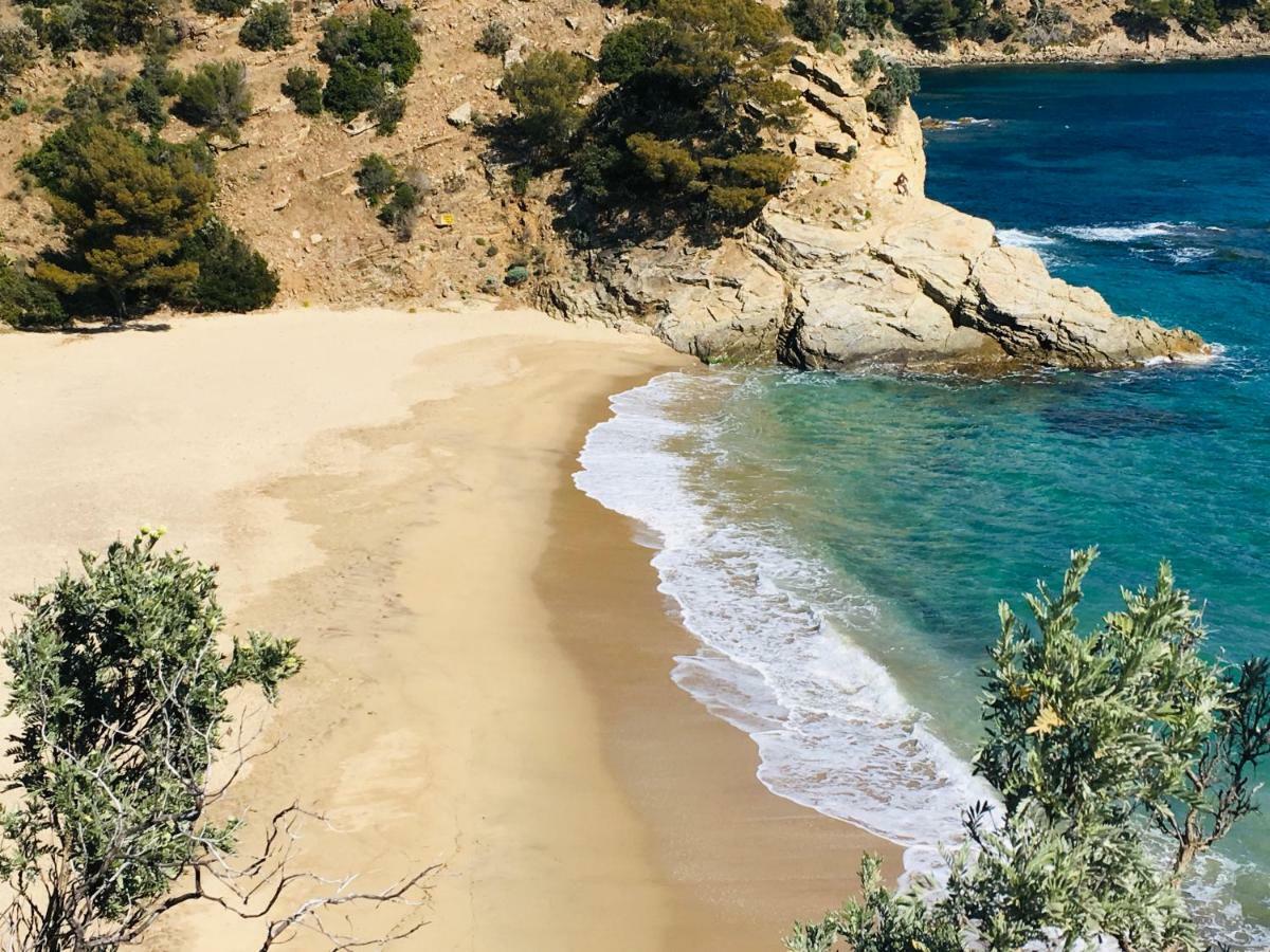 Le Clos Des Sept Palmiers Cavalaire-sur-Mer Bagian luar foto
