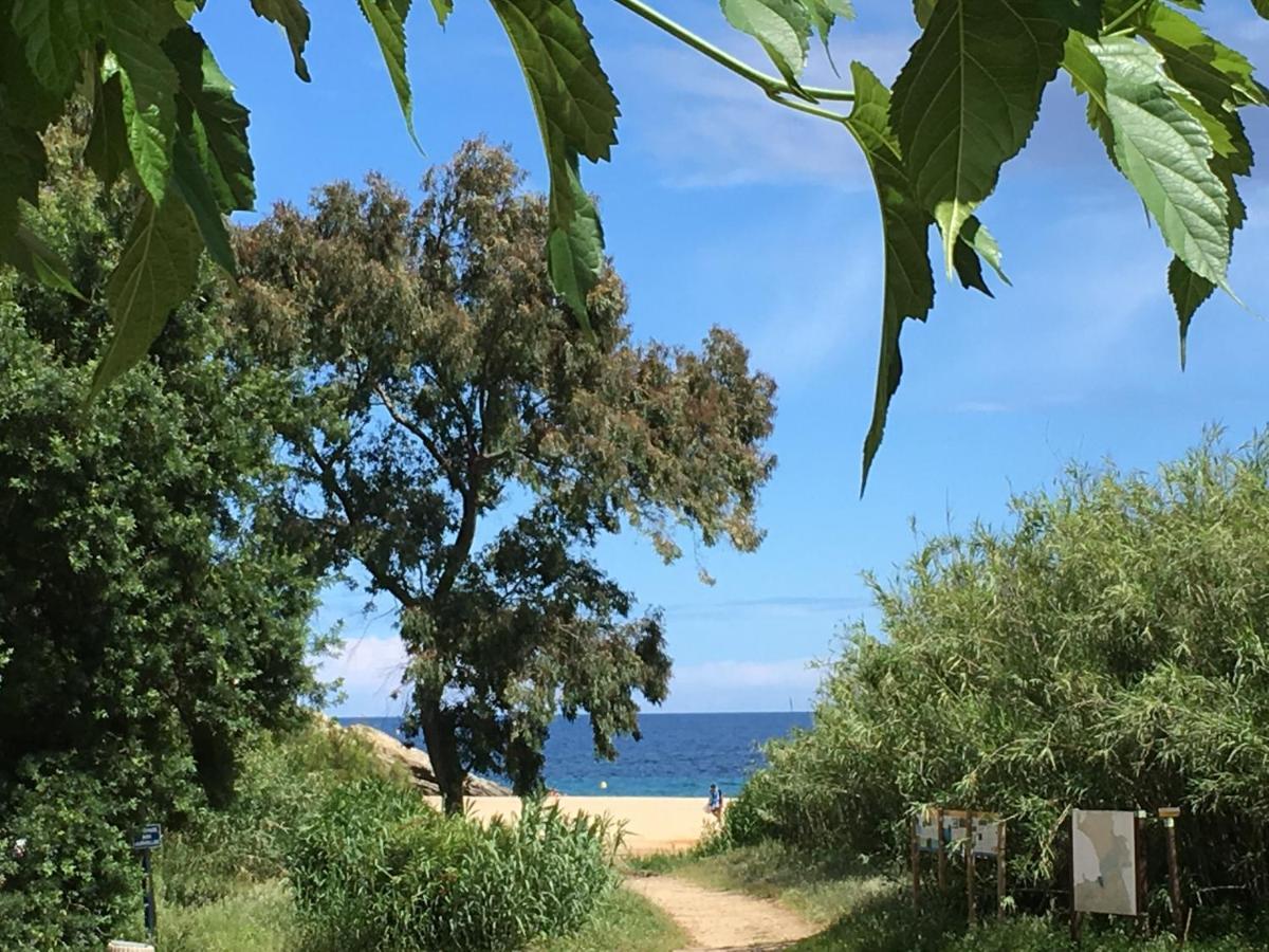 Le Clos Des Sept Palmiers Cavalaire-sur-Mer Bagian luar foto